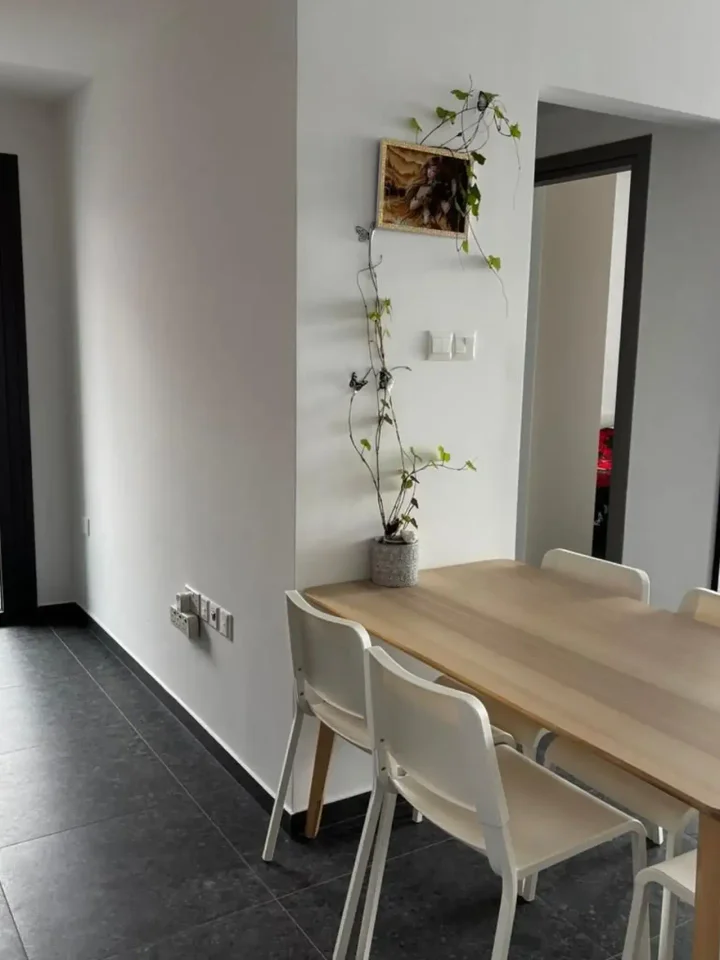 1-bedroom apartments for rent 55 m² in Nicosia, Egkomi