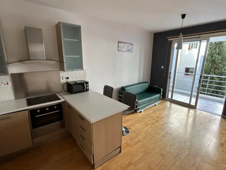 1-bedroom apartments for rent 65 m² in Nicosia, Palouriotissa