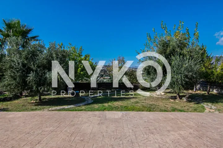 5-bedroom detached house for rent 440 m² in Limassol, Parekklisia