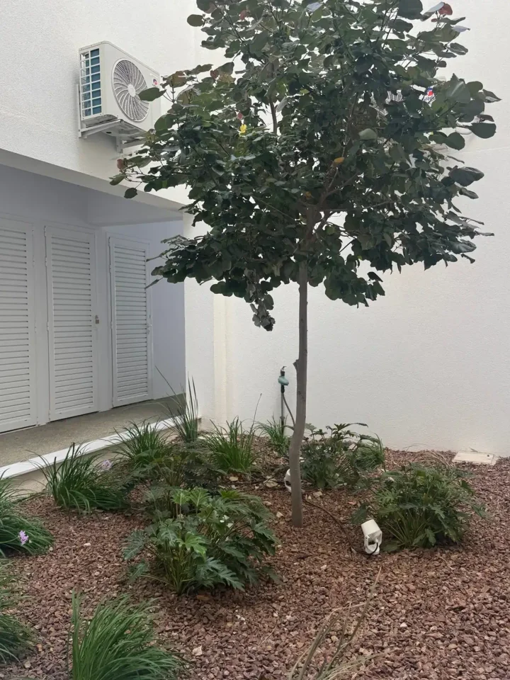 1-bedroom apartments for rent 55 m² in Limassol, Asomatos Lemesou