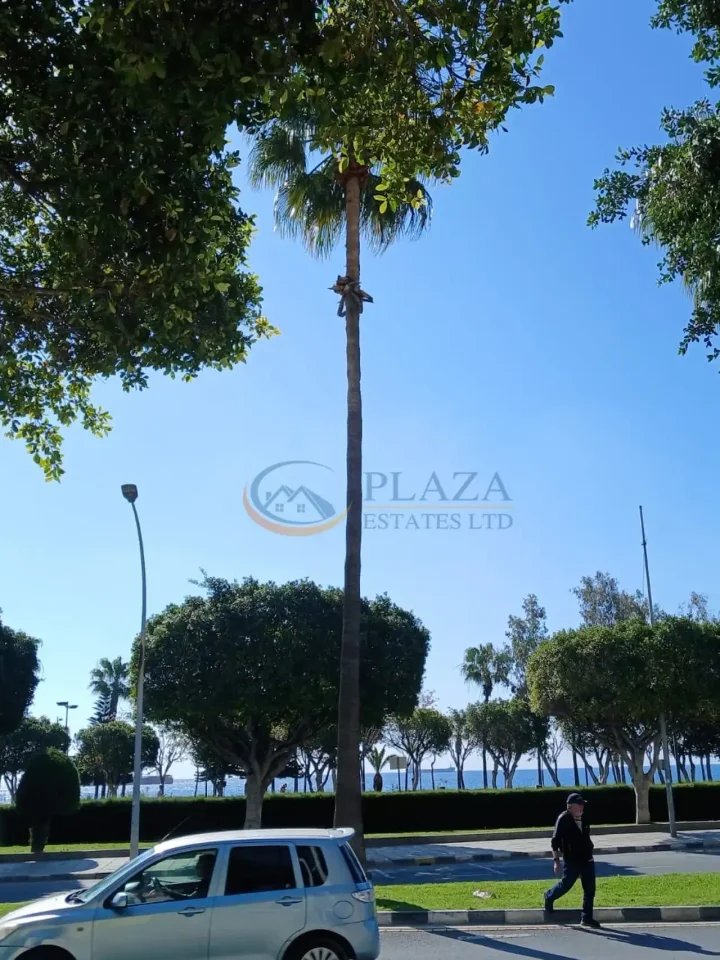 Office 680 m² for rent in Limassol, Limassol - Agia Zoni