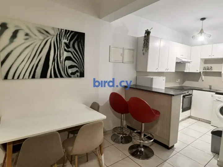 1-bedroom apartments for rent 43 m² in Nicosia, Egkomi - Makedonitissa