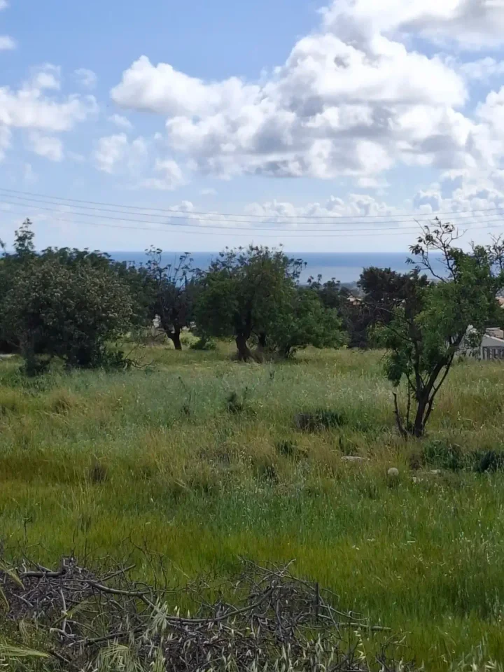 Plot of land for rent 2325 m² in Paphos, Anarita