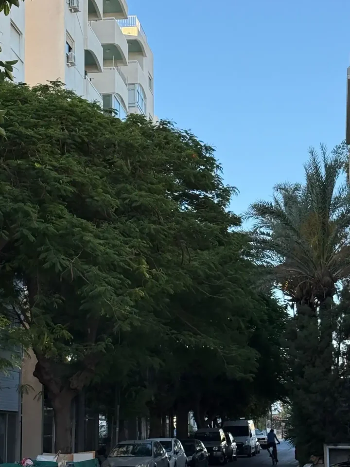 2-спальная пентхаус в аренду 75 м² в Limassol, Limassol - Agia Zoni