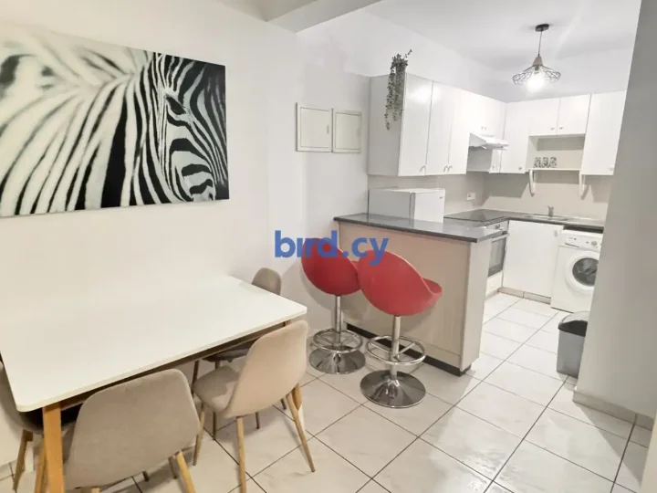 1-bedroom apartments for rent 43 m² in Nicosia, Egkomi - Makedonitissa