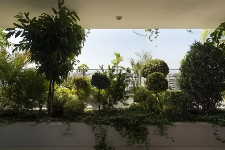 Office 289 m² for rent in Nicosia, Nicosia - Ag. Antonios