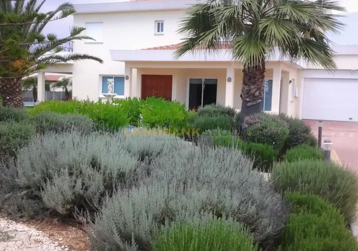 Μονοκατοικία προς ενοικίαση 400 μ² στην τοποθεσία Nicosia, Strovolos - Ap. Varnavas and Ag. Makar.