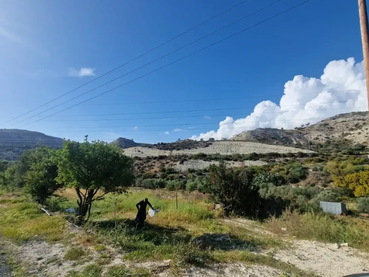 Plot of land for rent 5000 m² in Limassol, Pissouri