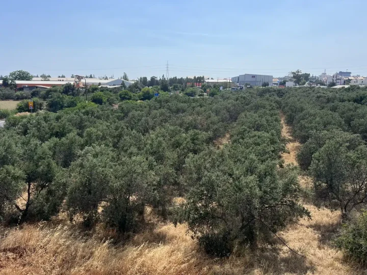 Апартаменты в аренду 63 м² в Limassol, Kato Polemidia