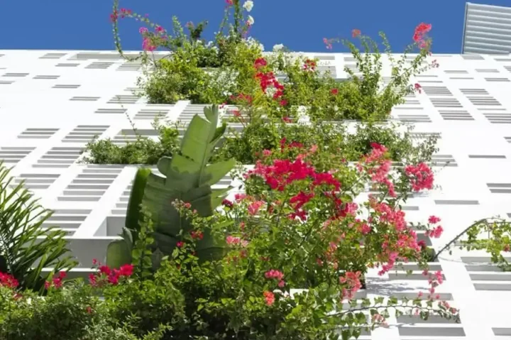 Office 289 m² for rent in Nicosia, Nicosia - Ag. Antonios