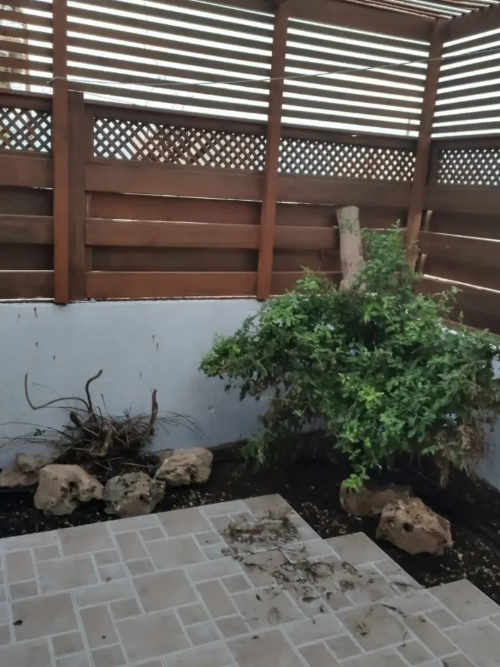 3-bedroom detached house for rent 169 m² in Limassol, Limassol - Zakaki