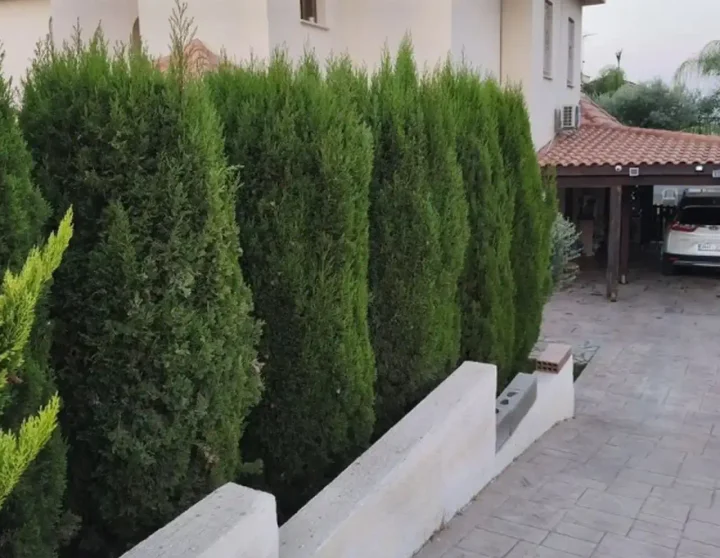 Отдельный дом в аренду 220 м² в Limassol, Moni