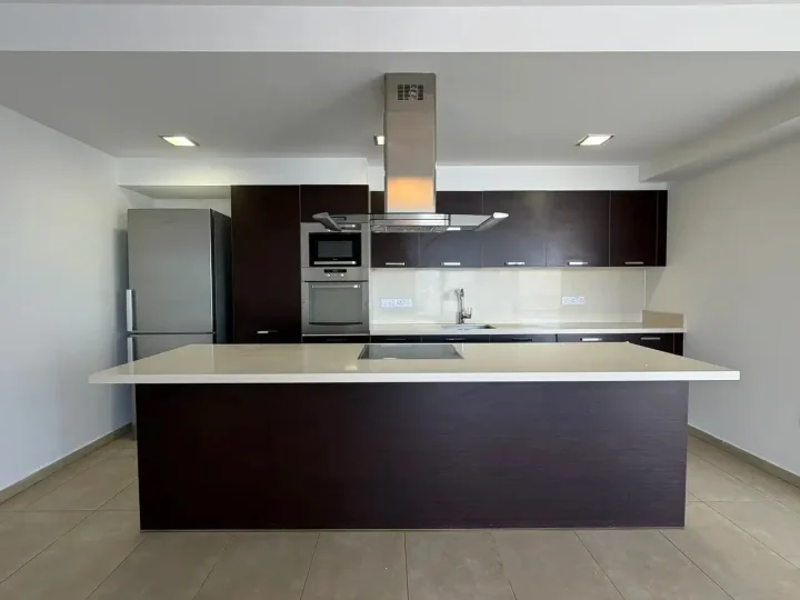 Апартаменты в аренду 145 м² в Nicosia, Egkomi - Makedonitissa