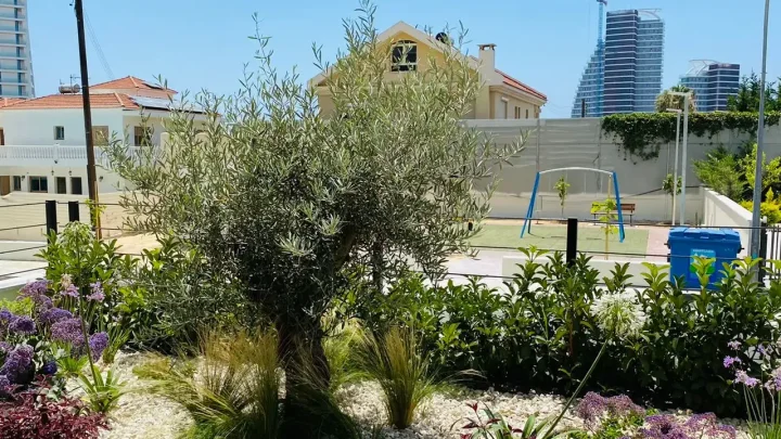 3-bedroom apartments for rent 150 m² in Limassol, Germasogeia Tourist Area