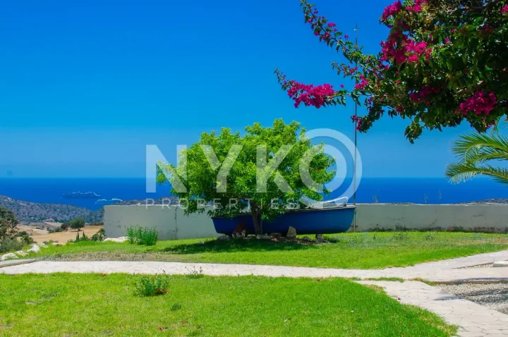 Detached house for rent 300 m² in Limassol, Parekklisia